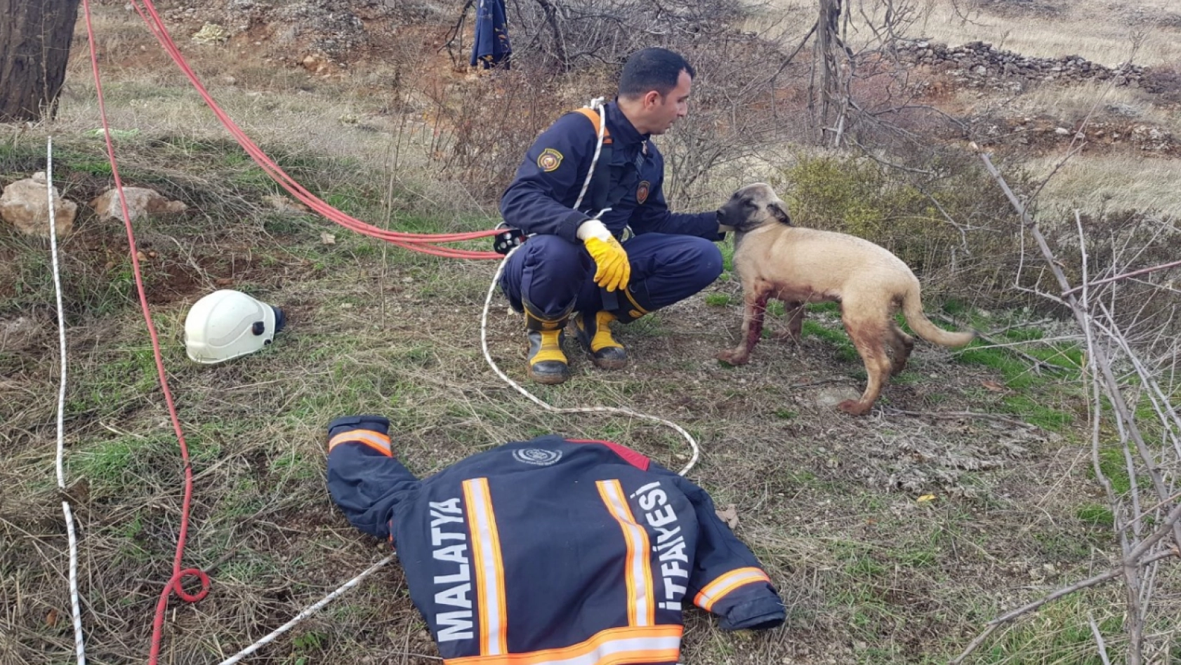 Malatya'da 15 metrelik su kuyusuna düşen köpek kurtarıldı