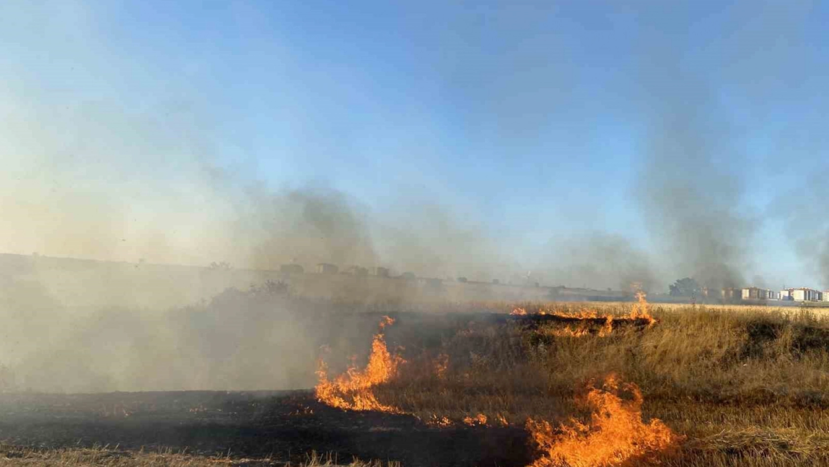 Malatya'da anız yakılması yasaklandı