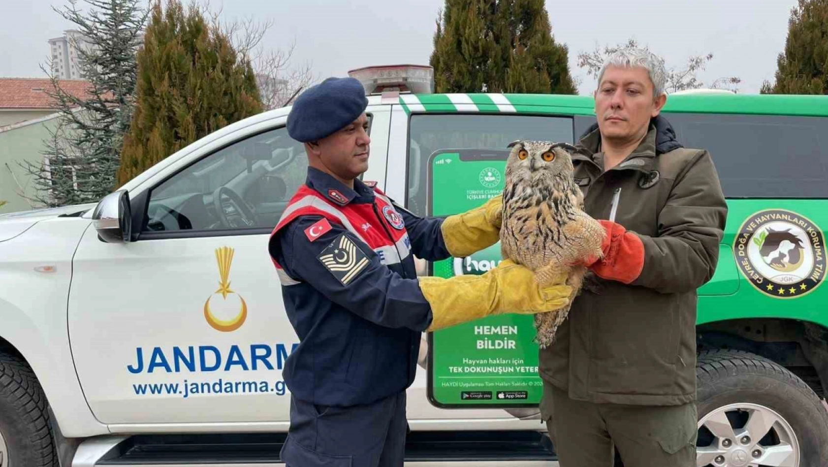 Malatya'da yaralı bulunan baykuş koruma altına alındı