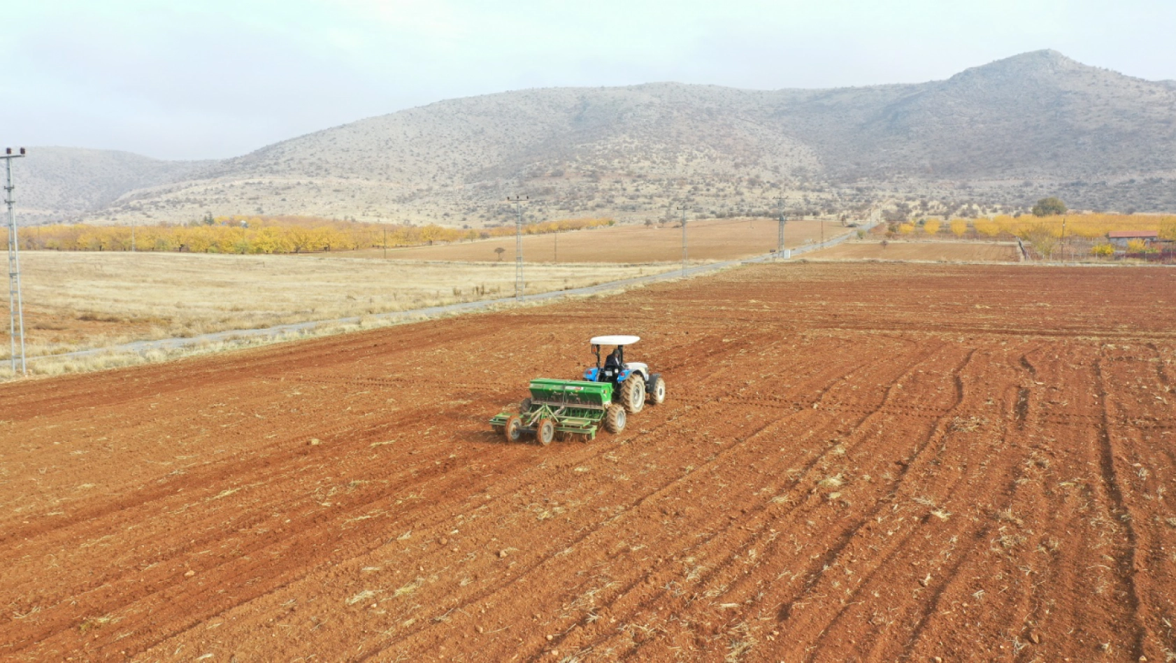 Örnekköy'de ki AR-GE Sahasında arpa ve buğday ekimi gerçekleştirildi
