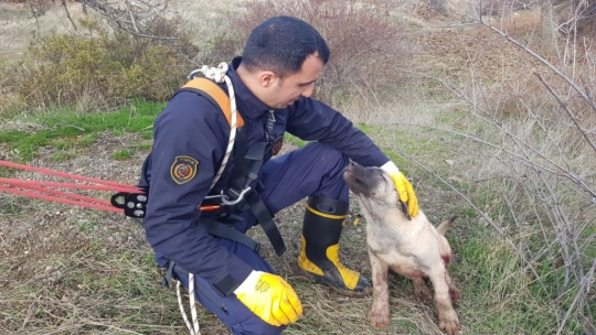 Malatya'da 15 metrelik su kuyusuna düşen köpek kurtarıldı