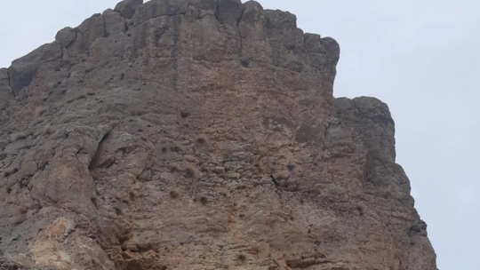 Malatya'da kayalıklarda mahsur kalan keçi kurtarıldı