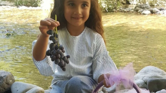 Malatya'da '25. Arapgir Bağbozumu ve Mor Reyhan Hasat Şenlikleri' yapıldı