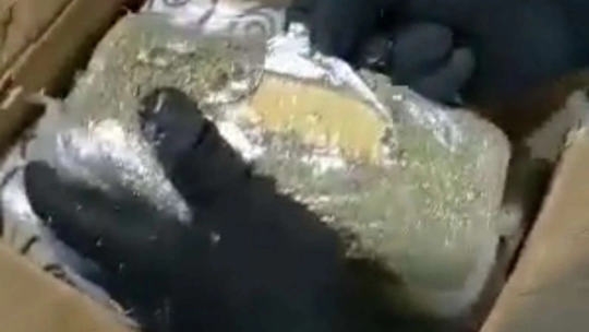 Malatya merkezli 3 ilde 131 kilo eroin ele geçirildi