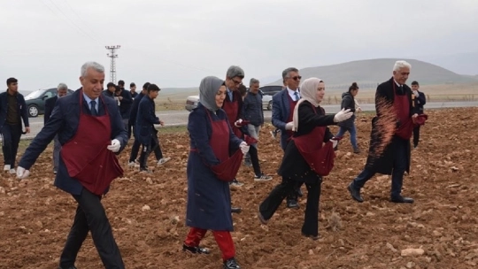 Malatyalı öğrenciler buğday ekimi yaptı