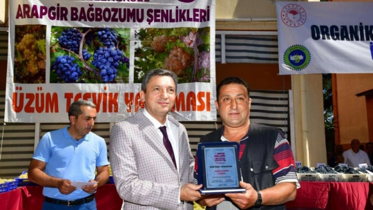 Malatya'da '25. Arapgir Bağbozumu ve Mor Reyhan Hasat Şenlikleri' yapıldı