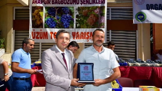 Malatya'da '25. Arapgir Bağbozumu ve Mor Reyhan Hasat Şenlikleri' yapıldı
