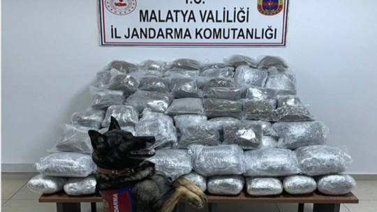 Malatya'da çeşitli suçlardan 382 kişi tutuklandı