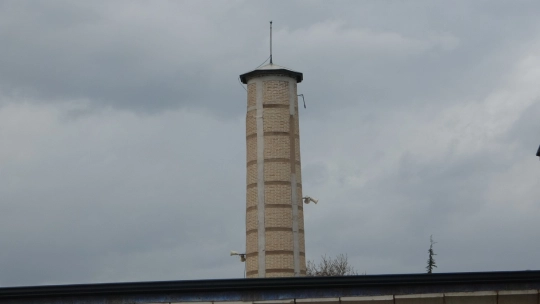 800 yıllık Malatya Ulu Cami restore edilecek