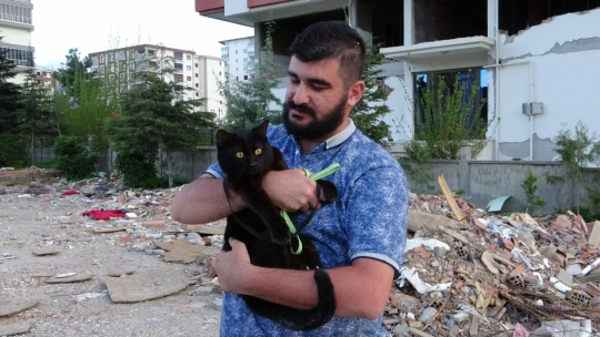 11 gün sonra bulunan kedisine gözü gibi bakıyor