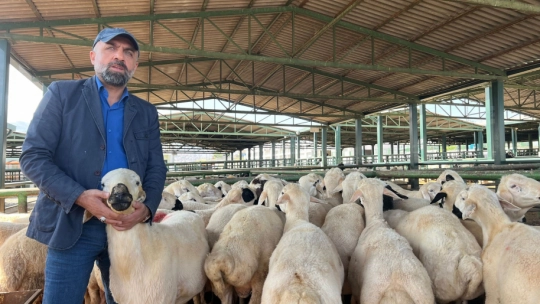 Malatya'da vatandaşlar kurbanlık almak için Arefe Günü'nü bekliyor