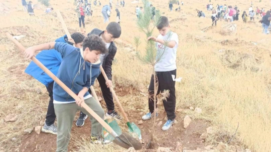 Cumhuriyet'in 100. Yılında öğrenciler fidan dikti
