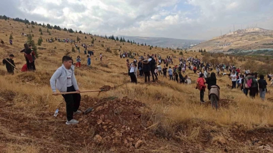 Cumhuriyet'in 100. Yılında öğrenciler fidan dikti