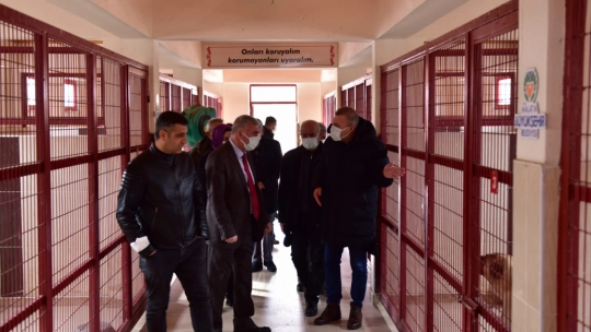 Kayısı Kent Muhtarlar Derneği Hayvan Barınağını Gezdi