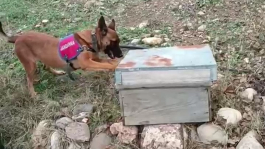Malatya'da uyuşturucu operasyonu