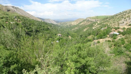 Eskişehir vadisi görenleri hayran bıraktırıyor