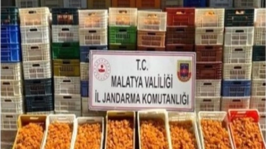 Malatya'da çeşitli suçlardan 382 kişi tutuklandı