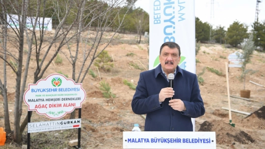 Hemşeri Dernekleri Orduzu Pınarbaşı'nda ağaç dikti