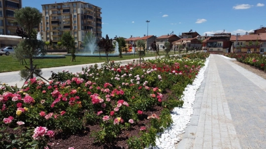 Battalgazi'deki Gül Bahçesi'nde Sona Yaklaşıldı