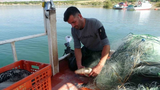 Karakaya Barajı balıkçıların ekmek teknesi oldu