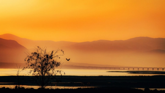 Kayısı Çiçeği Şenliği Fotoğraf Yarışması Tamamlandı