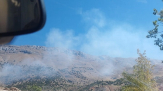 Malatya'da orman yangını, 1 yaralı