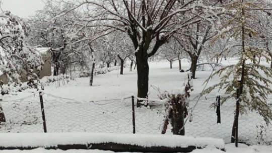Malatya'nın Darende ilçesinde kar yağışı etkili oldu