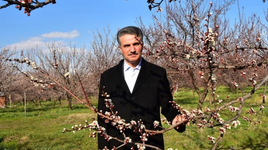 Kayısı Çiçeği Şenlikleri Work Show ile Sona Erdi