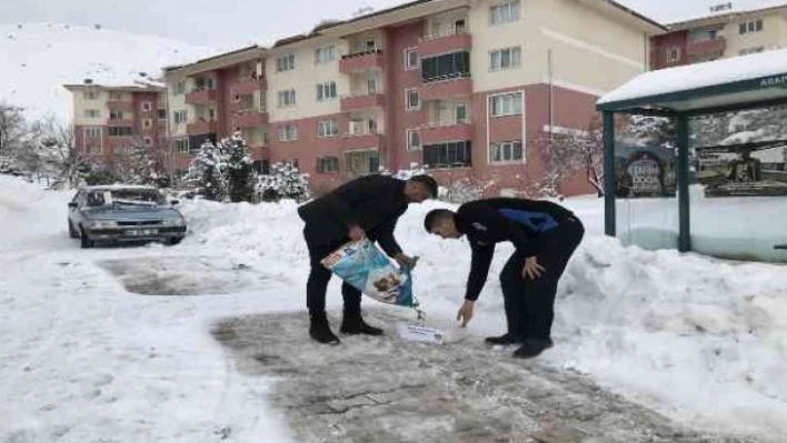 Arapgir Belediyesi, sokak hayvanlarını unutmadı