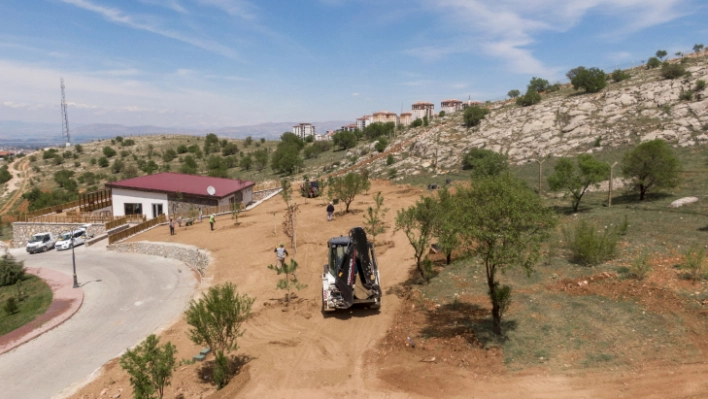 Beydağı Tabiat Parkında Çalışmalar Devam Ediyor