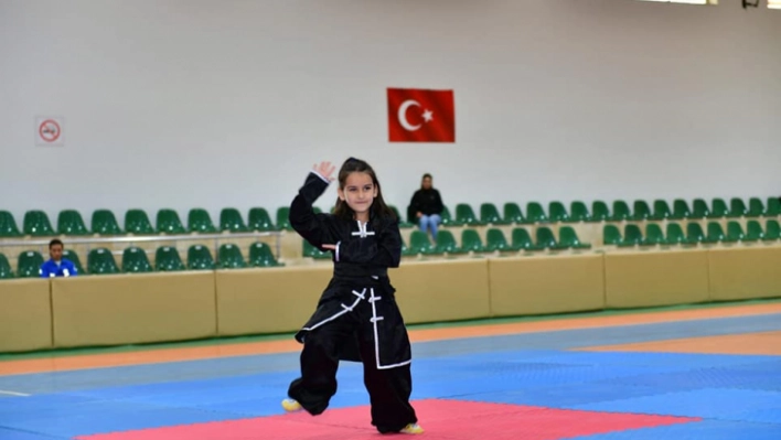 Geleneksel Wushu Kung Fu şampiyonası renkli anlara sahne oldu