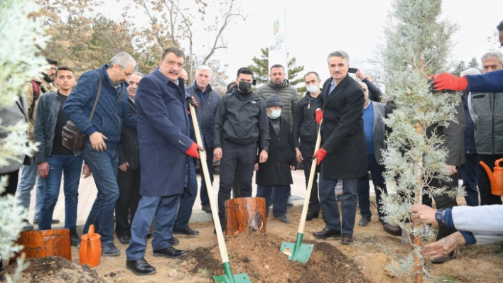 Hemşeri Dernekleri Orduzu Pınarbaşı'nda ağaç dikti