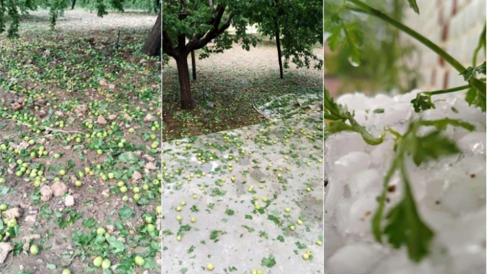 Malatya'da dolu, kayısı ile yüzlerce dönüm ekili sebze alanını vurdu