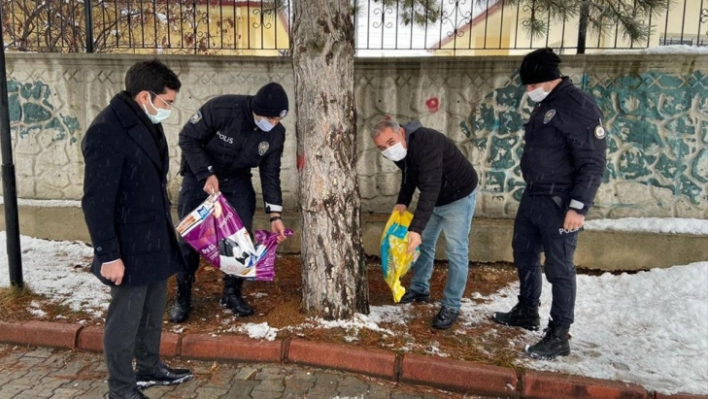 Malatya'da polisten sokak hayvanlarına mama desteği