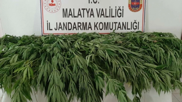 Malatya'da uyuşturucu operasyonu: 2 tutuklama