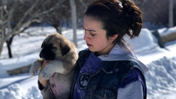 Sahipsiz köpeklere baba ile kızı sahip çıktı