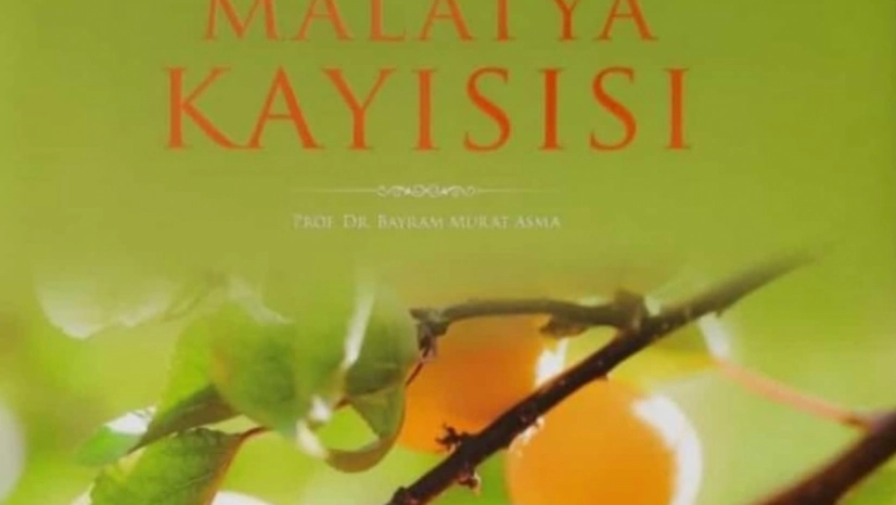 Malatya kayısısı isimli kitap ödül getirdi
